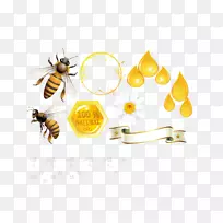 蜜蜂蜂巢-蜂巢模板下载