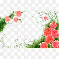 花园玫瑰花水彩画插图.水彩画花藤花边背景