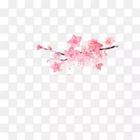 花粉红-粉红角花饰