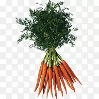 种植蔬菜胡萝卜-胡萝卜PNG图像