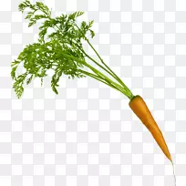 胡萝卜蔬菜-胡萝卜PNG图像