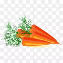 胡萝卜橙花树-胡萝卜PNG图像