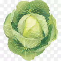 花椰菜剪贴画-白菜PNG图像