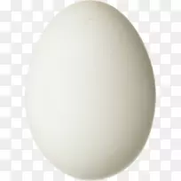 鸡蛋照明球体设计.鸡蛋PNG图像