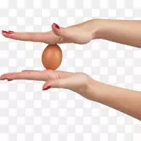 鸡蛋蛋-手蛋PNG图像