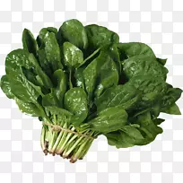 菠菜叶园蔬菜组织-色拉PNG图像