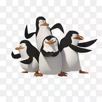 马达加斯加船长企鹅-马达加斯加企鹅PNG