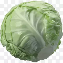 甘蓝菜花蔬菜-白菜PNG图像