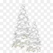 雪树，冬季松树-白雪树