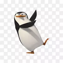 企鹅剪贴画-马达加斯加企鹅PNG