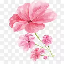 指甲艺术-粉红色的花