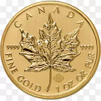 加拿大金枫叶金币-金币PNG图像