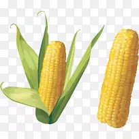玉米上的玉米剪贴画-玉米PNG图像