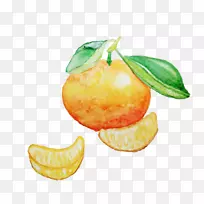 橙色和橙色的手绘水彩画