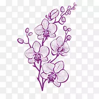 手绘紫色兰花