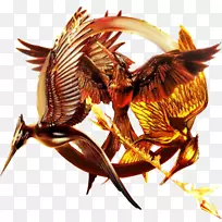 饥饿游戏PNG HD