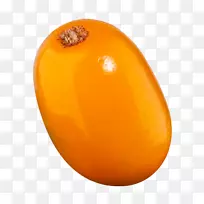 橙色冬瓜-沙棘PNG