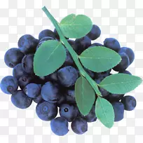 蓝莓茶-蓝莓PNG