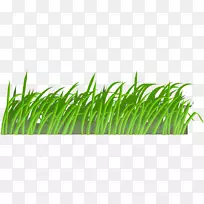 草坪剪贴画-草PNG图像，绿草PNG图片