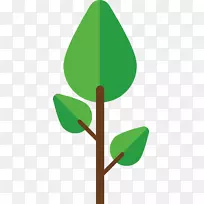 绿扁树