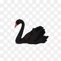 黑天鹅下载-黑天鹅PNG