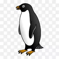 企鹅免费内容剪贴画-企鹅PNG图像