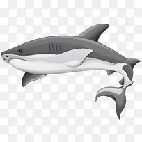 鱼翅汤夹艺术-鲨鱼PNG