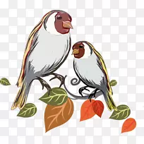 手绘鸟