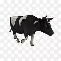 牛畜标签-牛PNG图像
