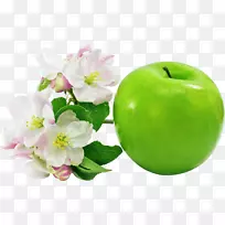 苹果图标图像格式剪贴画-绿色苹果png图像