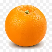 葡萄柚苦橙柠檬橙透明