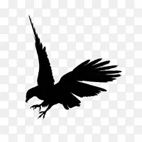 鹰型剪影剪贴画-鹰黑丝丝PNG图像，免费下载