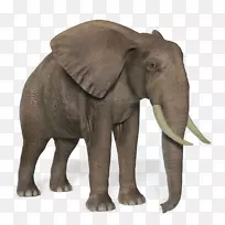 大象剪贴画-大象PNG
