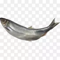 巴布亚新几内亚鱼作为食用鱼