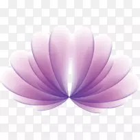 扇形花