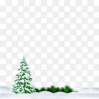 雪圣诞树