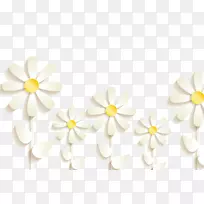 白色浮雕三维花卉