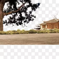 装饰图案
