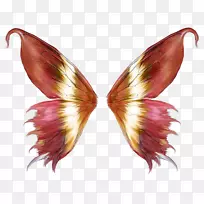 粉红蝴蝶翅膀