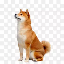 往前看