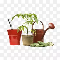 园艺工具和小盆栽