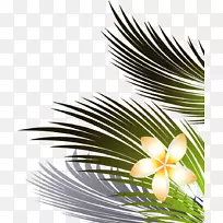 椰子树叶和花较低