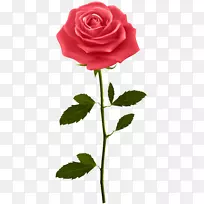 玫瑰剪贴画-红色玫瑰与茎PNG剪贴画