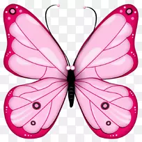 蝴蝶剪贴画-粉红色透明蝴蝶剪贴画