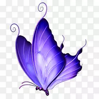 蝴蝶粉红剪贴画-透明紫色装饰蝴蝶PNG剪贴画