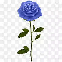 玫瑰插花艺术-蓝色玫瑰与茎PNG剪贴画形象