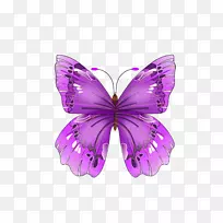 蝴蝶紫色画片艺术-蝴蝶PNG图像