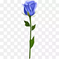 蓝色玫瑰插花艺术-蓝色玫瑰剪贴画PNG图像