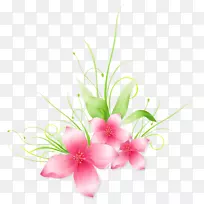 花卉设计，切花，花束，人工花枝-粉红花PNG剪贴画-艺术形象