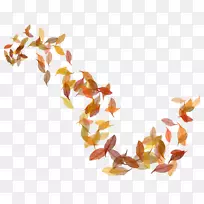 秋叶颜色-透明秋叶PNG图像